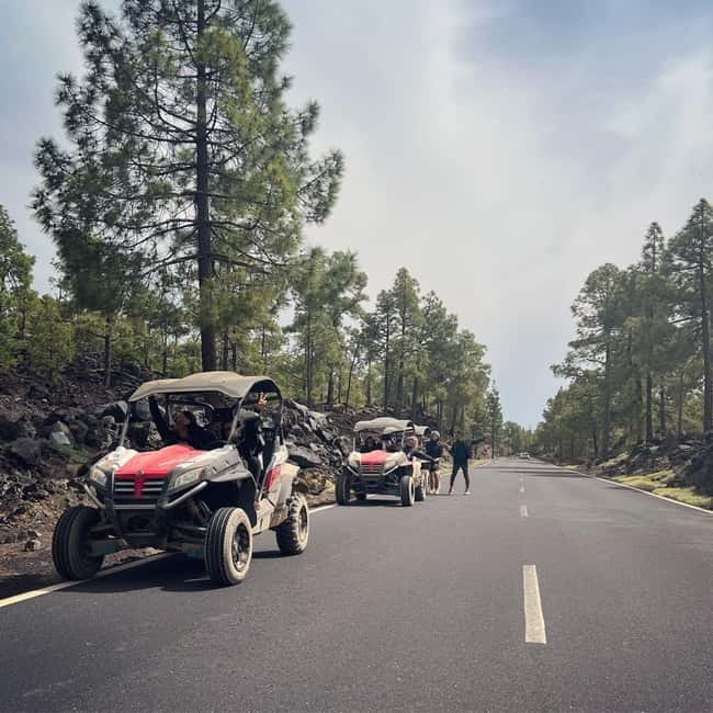 Tenerife: Teide National Park and Volcano Buggy Tour - Mirador de Los Poleos and the changing view
