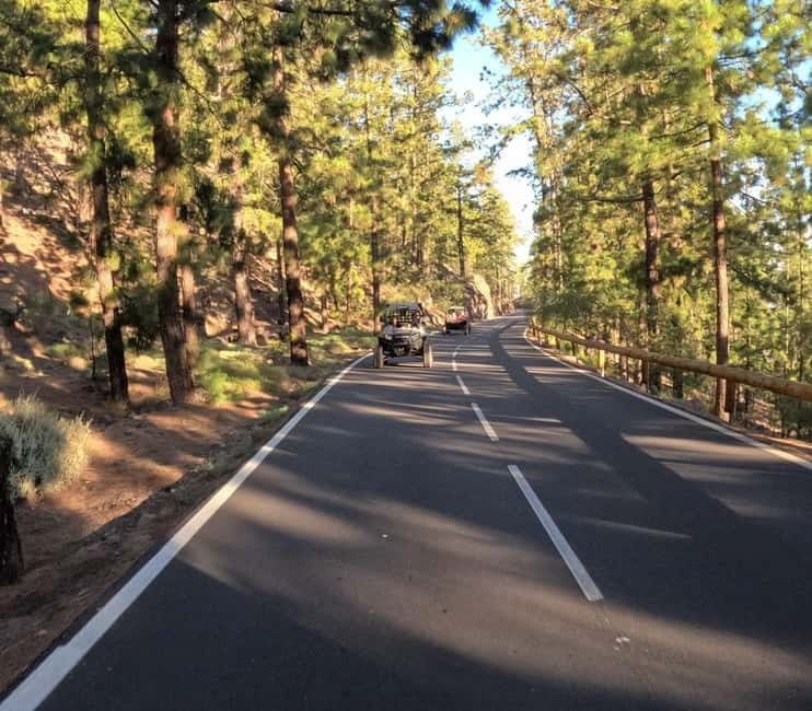 Tenerife: Teide National Park and Volcano Buggy Tour - Who will enjoy this most