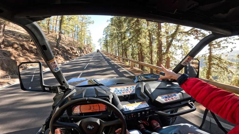 Tenerife: Teide National Park Guided Buggy Tour - Why the buggy works well for this route