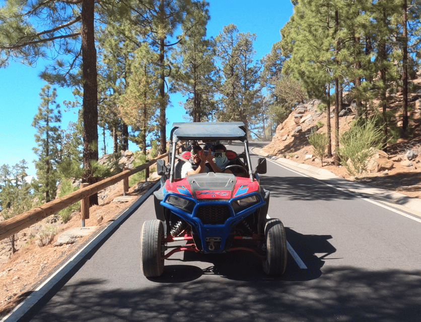 Tenerife: Volcano Teide Buggy Tour with Wine Tasting & Tapas - Who will enjoy this tour most