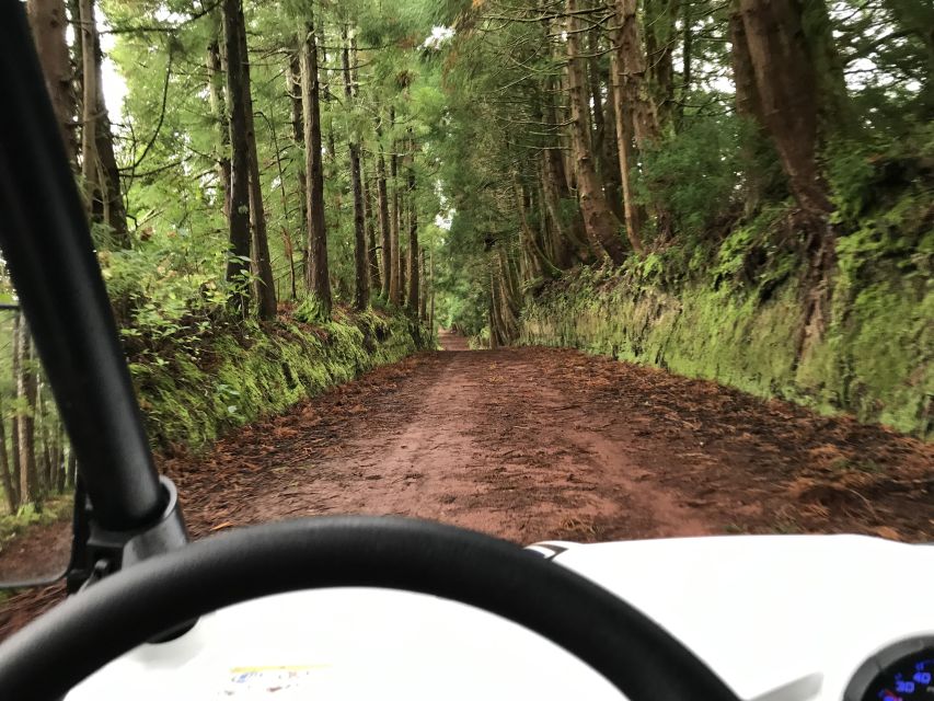 Terceira: Buggy Tour 4x4 West Side Azores Retreat - Is $200 good value for two people?