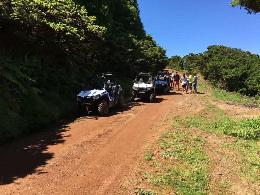 Terceira: Buggy Tour 4x4 West Side Azores Retreat - Who should book this experience?
