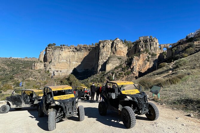 TopBuggy Buggy Safari Ronda Gorge Trip - What makes this Ronda buggy tour worth considering