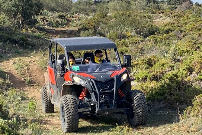 TopBuggy Buggy Safari Ronda Gorge Trip - From Ronda’s old streets to the open hills