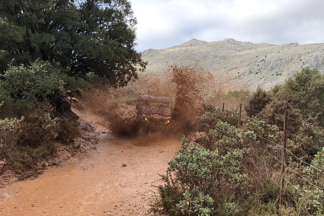 TopBuggy Buggy Safari Ronda Gorge Trip - Vineyard roads near Descalzos Viejos