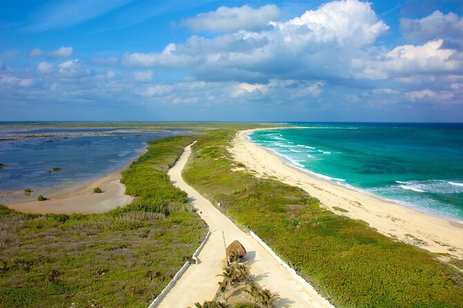 Tours along the beaches of Cozumel Mexico by buggy all inclusive - Key points to know before you book