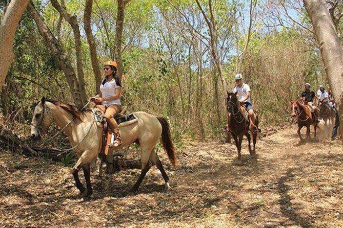 Tulum Jungle Horseback Ride + ATV + Ziplines + Cenote Combo Tour - Four ziplines, including a long final run