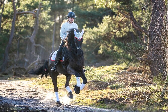 Tulum Jungle Horseback Ride + ATV + Ziplines + Cenote Combo Tour - ATV trails through the Maya jungle