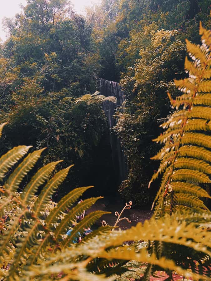 Ubud: Gorilla Face Quad Bike, Jungle Swing, Waterfall & Meal - Lunch, showers, and the useful practical details