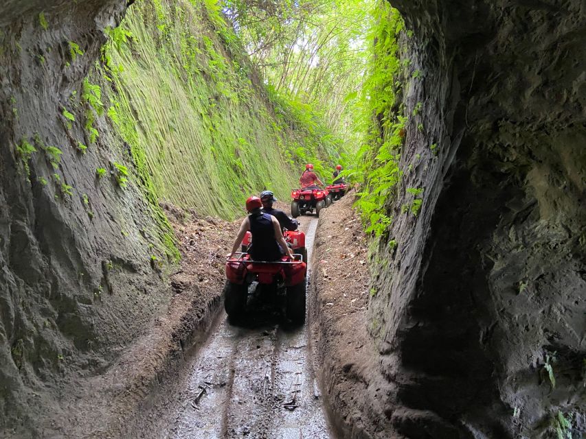 Ubud: Gorilla Face Quad Bike, Jungle Swing, Waterfall & Meal - Pickup, driving time, and guide quality