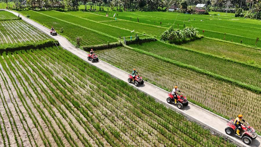 Ubud: Guided ATV Quad Bike Jungle Adventure with Lunch - Jungle Tracks, Rice Fields, and Natural Tunnels