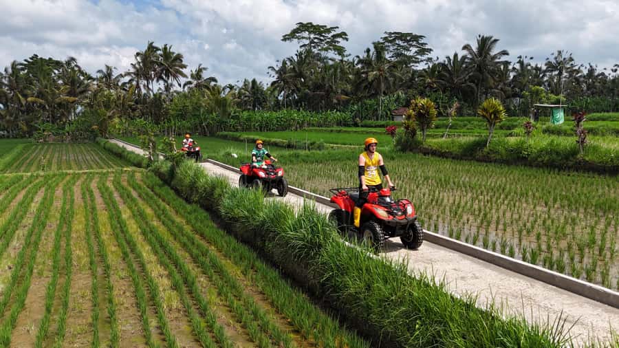 Ubud: Guided ATV Quad Bike Jungle Adventure with Lunch - Who Should Book This Ubud ATV Ride?