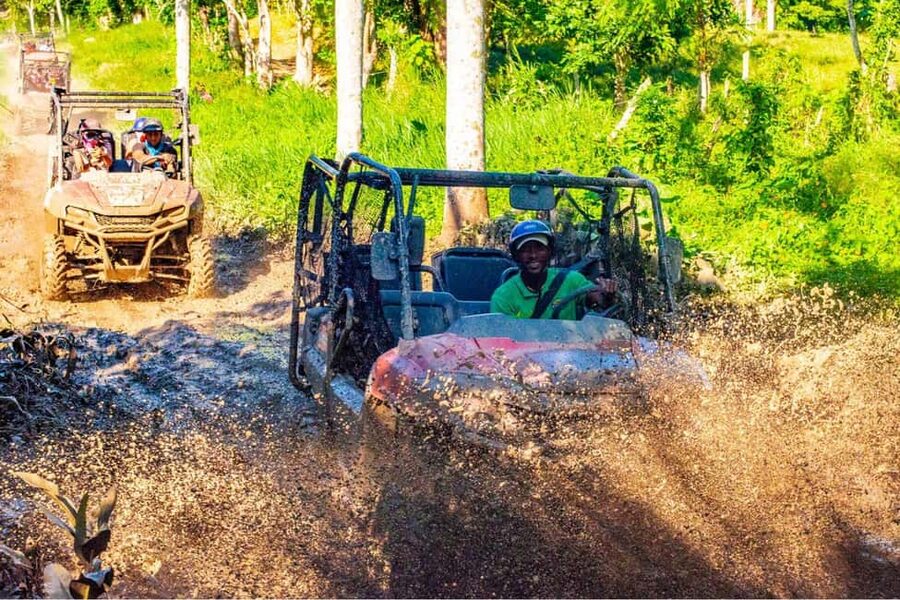 Ultimate Buggy Expedition from Punta Cana with blue cenote - A Dominican ranch stop with coffee and chocolate