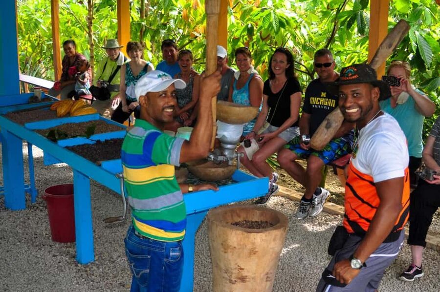 Ultimate Buggy Expedition from Punta Cana with blue cenote - Price, buggy choices, and what is included