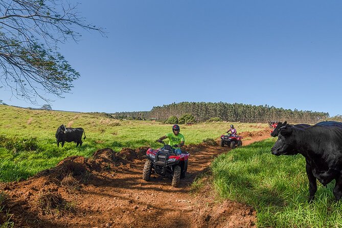 Umauma Falls Deluxe ATV Waterfall and Swim Experience - Riding from ranch land to Umauma Falls