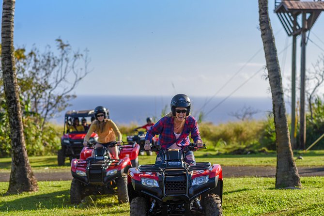 Umauma Falls Deluxe ATV Waterfall and Swim Experience - Should you book the Umauma Falls ATV experience?