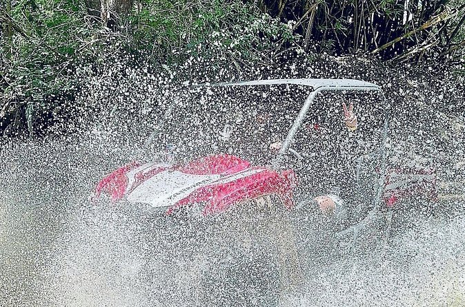 UTV adventure in Naguabo Puerto Rico 50 minutes trip 80 acres - How much value do you get for $100?
