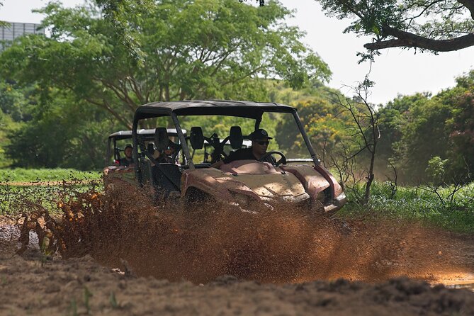 UTV adventure in Naguabo Puerto Rico 50 minutes trip 80 acres - Who should book this activity?