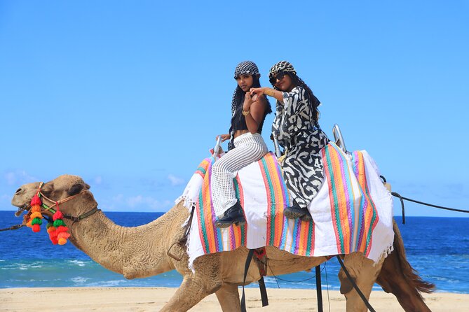 UTV Adventure with Free Camel Ride and Sky Bikes - Tequila tasting, food, and the extras on site