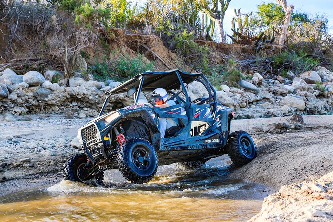 UTV and Camel Ride in the Cabo Desert - Key points to know before booking