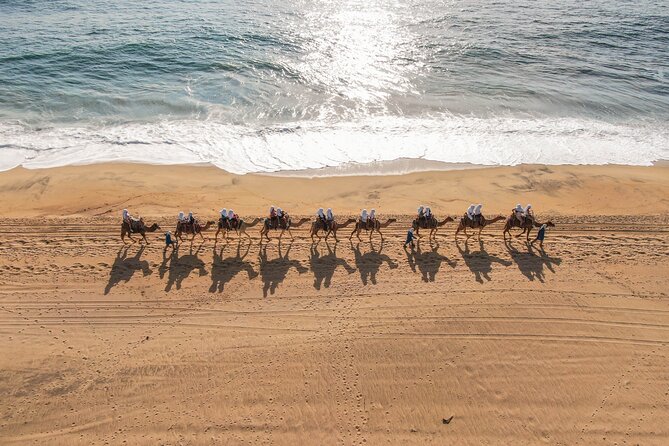 UTV and Camel Ride in the Cabo Desert - What the guides add to the experience