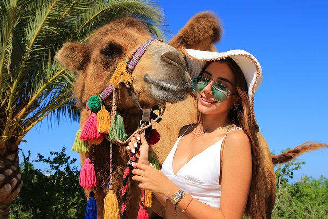 UTV and Camel Ride in the Cabo Desert - Is $140.48 a fair price?