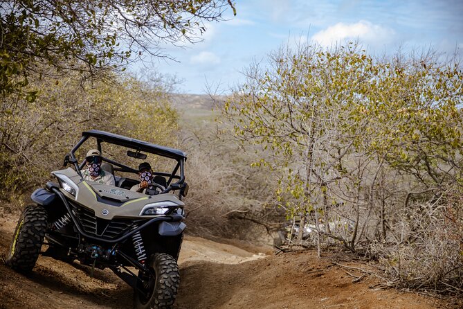 UTV Buggy and Snorkeling Tour in Willemstad Curacao - What the $215 price really covers