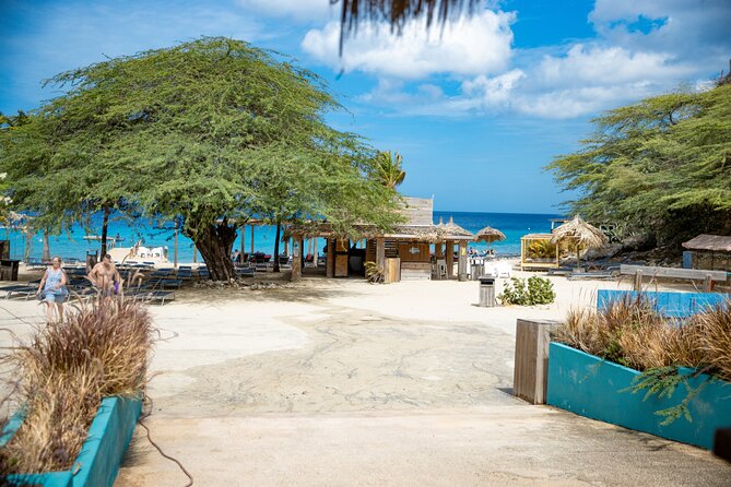 UTV Buggy and Snorkeling Tour in Willemstad Curacao - Who will enjoy this Curacao outing