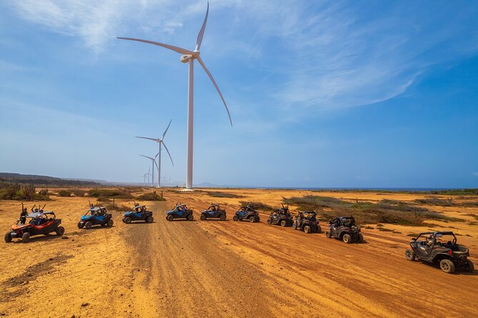UTV Buggy Expedition in West Coast - What the $229 price really means