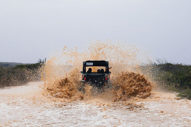 UTV Buggy Expedition in West Coast - Who will enjoy this west coast outing