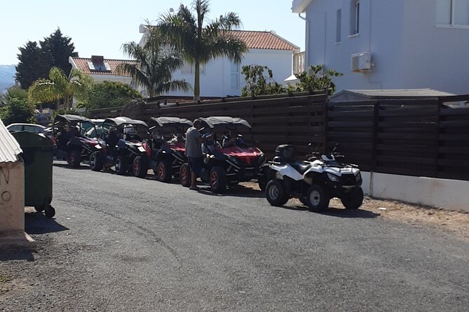 Value for money Quad & Buggy Tour to Lara Bay and Adonis Falls - Quad, buggy, or passenger seat?