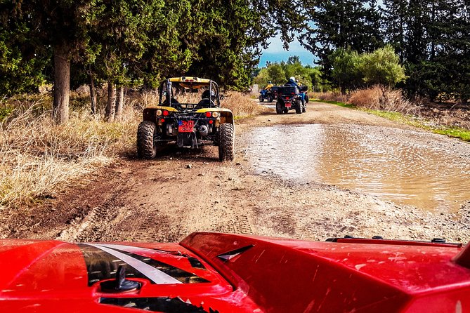 Village & Mountain Buggy Safari in Paphos - From Paphos seafront to the Cyprus countryside