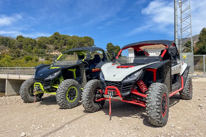 VIP Buggy Tour Off Road in Benidorm - El Albir: trees, slopes, and the first rough tracks
