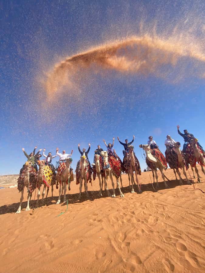 VIP Red Dunes: Camel, Quads, Private Tour & Coffee - Sunset over the Riyadh desert
