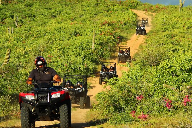 Viper Trail UTV Small-Group Experience in Cabo San Lucas - The 25-km route, dust, hills, and sharp curves