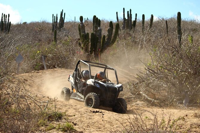Viper Trail UTV Small-Group Experience in Cabo San Lucas - Quesadillas, water, and the small comforts