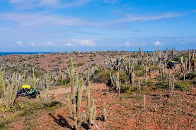Wild Side UTV Tour: Explore the Northern treasure - What lunch adds to the morning tour