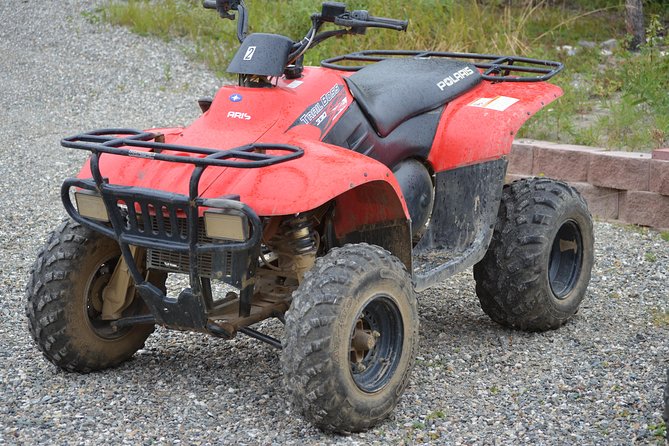 Wilds of Alaska Classic ATV Adventure - Wildlife watching without false promises