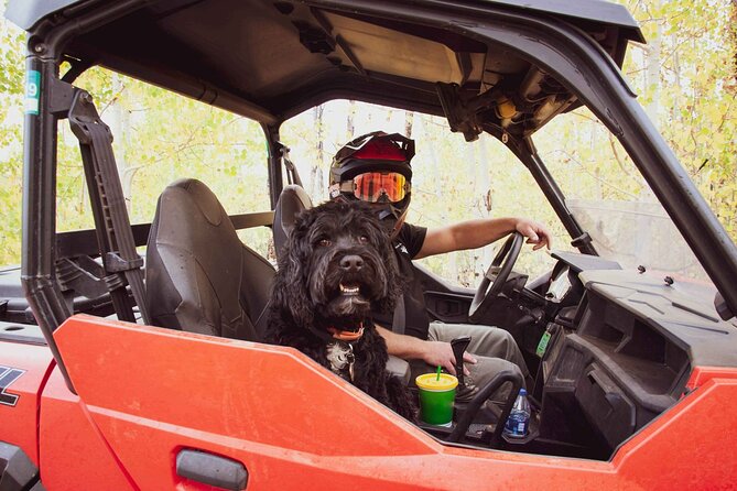 Woodland Park: 4-Hour Self-Guided Mountain UTV Tour - You Drive - The rhythm of a four-hour self-drive adventure