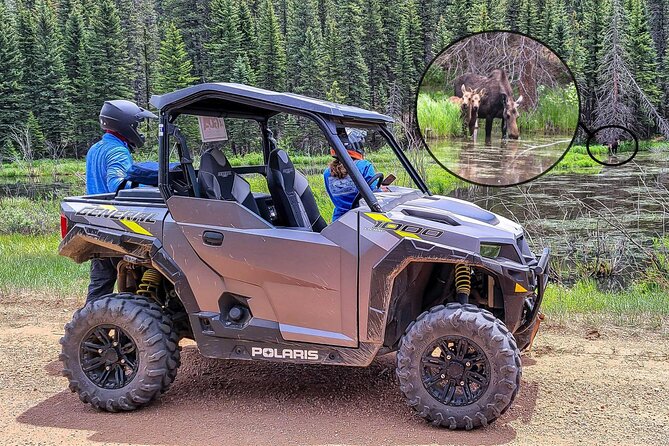 Woodland Park: 4-Hour Self-Guided Mountain UTV Tour - You Drive - Is $341 per person a fair price?