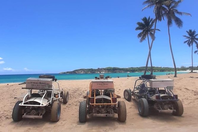 Xtreme Buggy 4 hours Dune Buggy & Country side experience - Key points at a glance